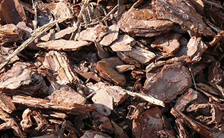 Nahaufnahme von Bockelmann-Rindenmulch